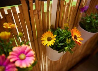 Chryzantemy w doniczce na balkonie: jak dbać, by chryzantemy doniczkowe długo kwitły?1. Co zrobić z kasztanami i żołędziami – kasztany i żołędzie w jesiennych dekoracjach Jak pielęgnować doniczkowe chryzantemy na balkonie aby cieszyć się długotrwałym kwitnieniem - wykorzystanie kasztanów i żołędzi w dekoracjach jesienią