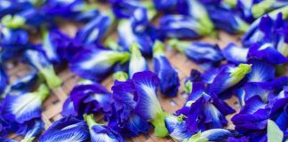 Wykorzystanie suszonych kwiatów - pomysły na dekoracje i nie tylko