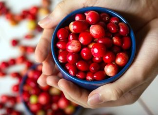 Właściwości odżywcze i zdrowotne żurawiny - odkryj jej sekrety