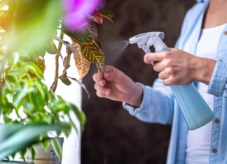 Jak prawidłowo wykorzystać ściółkowanie w ogrodzie – przegląd materiałów i technik pielęgnacji roślin