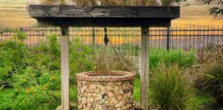 Porównanie Typów Studni Ogrodowych - Drewniane, Kamienne, Czerpalne i Ozdobne