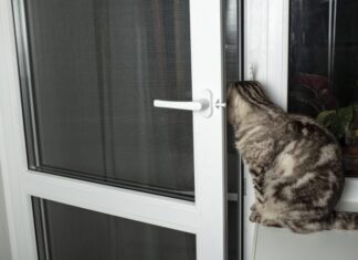 Jak samodzielnie wykonać drzwiczki dla kota – poradnik wideo krok po kroku