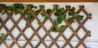 Podpory dla pnączy – metalowe, drewniane i z tworzywa kratki