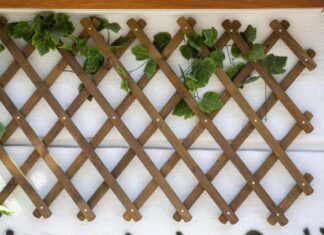 Podpory dla pnączy – metalowe, drewniane i z tworzywa kratki
