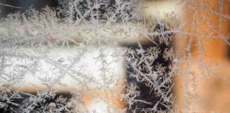 Automatyczna brama przesuwna - Komfortowy dostęp do posesji oraz kwestie montażu i kosztów