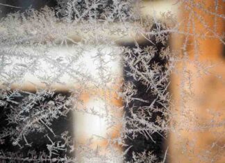 Automatyczna brama przesuwna - Komfortowy dostęp do posesji oraz kwestie montażu i kosztów