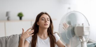 Wybór wentylatora do mieszkania – jak efektywnie ochłodzić wnętrze w gorące dni