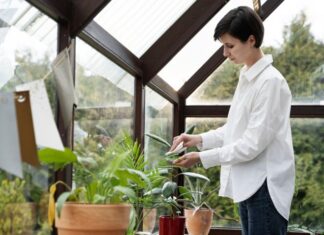 Zielone oazy w domu przez cały rok – jak to osiągnąć? Zielone oazy w domu przez cały rok – jak to osiągnąć