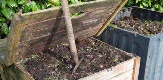 Funkcjonalne i stylowe rozwiązania do przechowywania w ogrodzie – skrzynie, które zachwycają