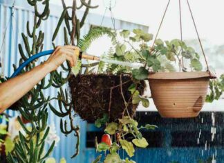 Materiały doniczkowe – Jakie donice wybrać do wnętrz, a jakie na balkon i ogród Materiały doniczkowe - Jakie donice wybrać do wnętrz, a jakie na balkon i ogród